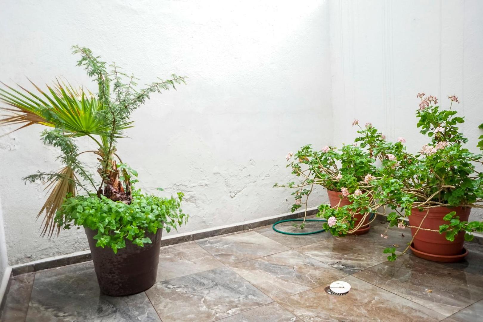 Casa Morelos Stayhouse San Luis Potosí Eksteriør billede