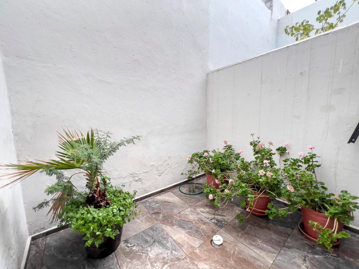 Casa Morelos Stayhouse San Luis Potosí Eksteriør billede