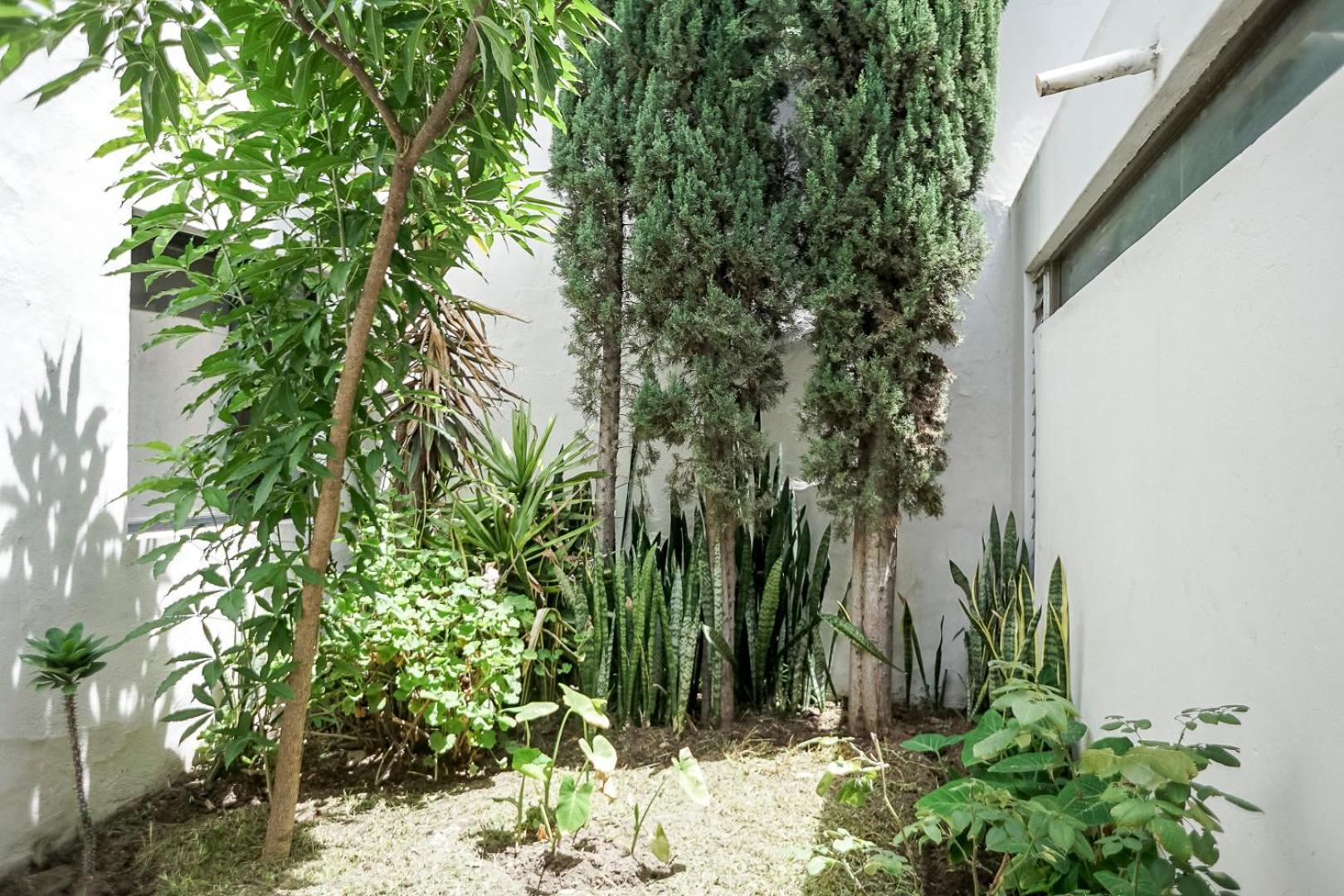 Casa Morelos Stayhouse San Luis Potosí Eksteriør billede